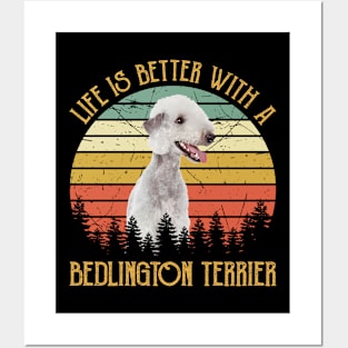 Vintage Life Is Better With A Bedlington Terrier Posters and Art